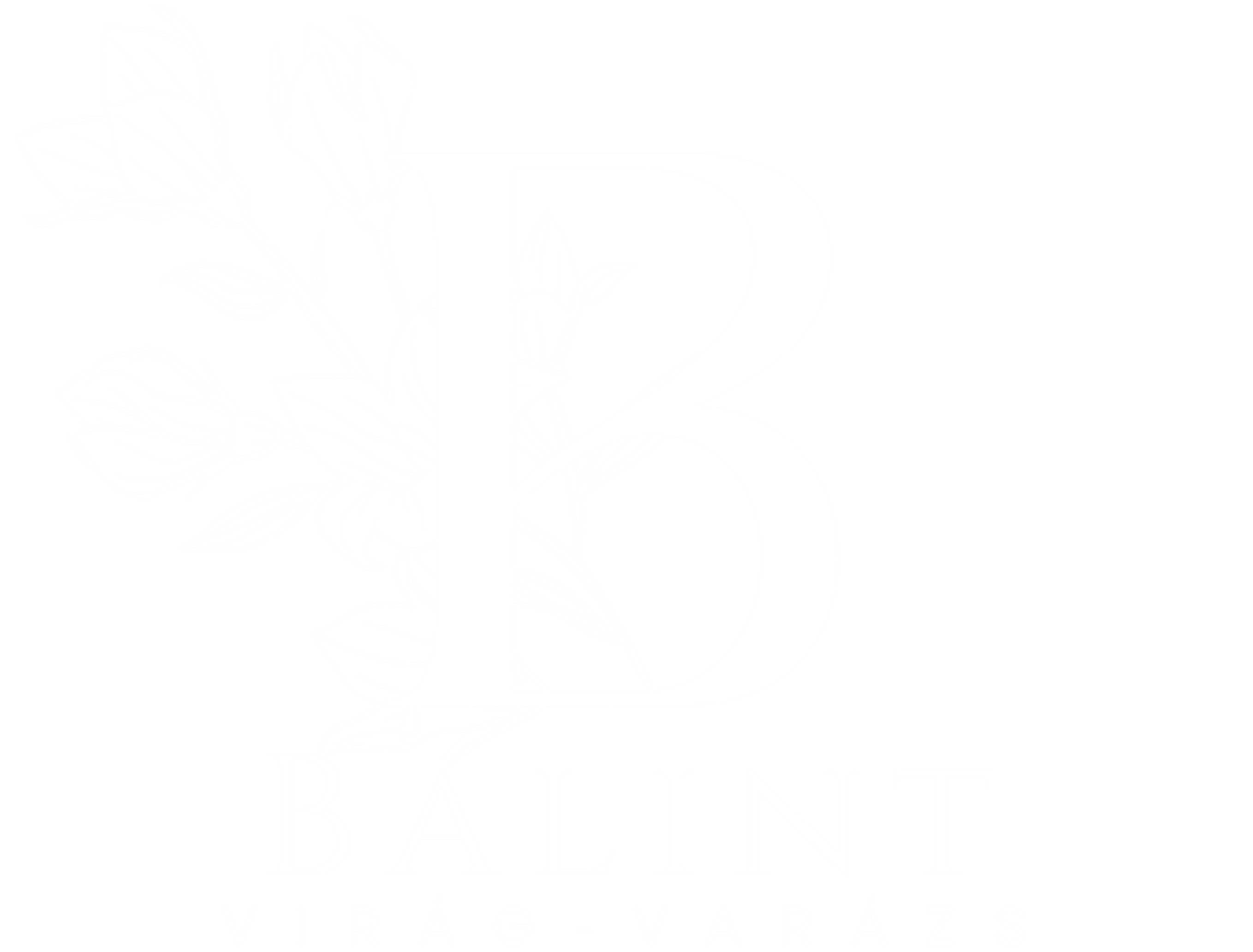 Bálint Virág-Varázs